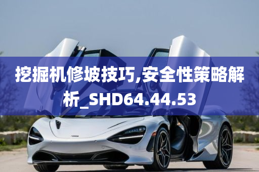 挖掘机修坡技巧,安全性策略解析_SHD64.44.53