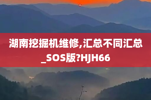 湖南挖掘机维修,汇总不同汇总_SOS版?HJH66