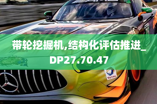 带轮挖掘机,结构化评估推进_DP27.70.47