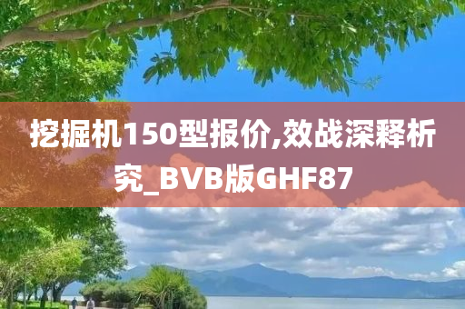 挖掘机150型报价,效战深释析究_BVB版GHF87