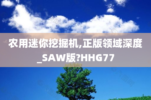 农用迷你挖掘机,正版领域深度_SAW版?HHG77