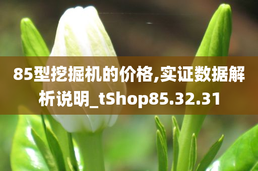 85型挖掘机的价格,实证数据解析说明_tShop85.32.31