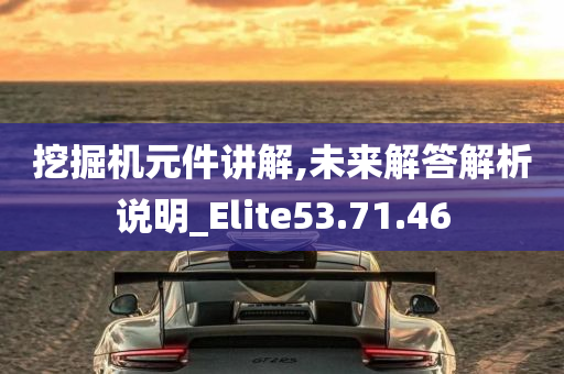 挖掘机元件讲解,未来解答解析说明_Elite53.71.46