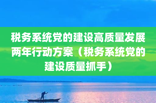 税务系统党的建设高质量发展两年行动方案（税务系统党的建设质量抓手）