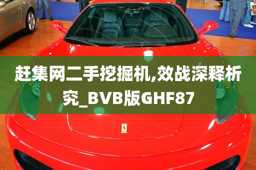 赶集网二手挖掘机,效战深释析究_BVB版GHF87