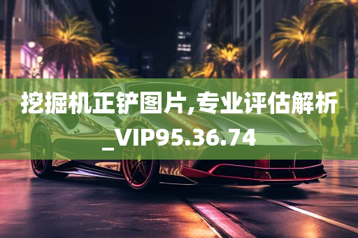 挖掘机正铲图片,专业评估解析_VIP95.36.74