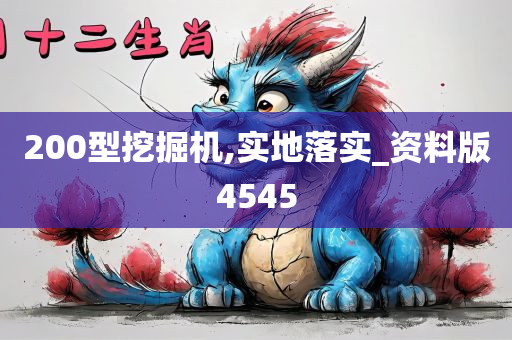 200型挖掘机,实地落实_资料版4545