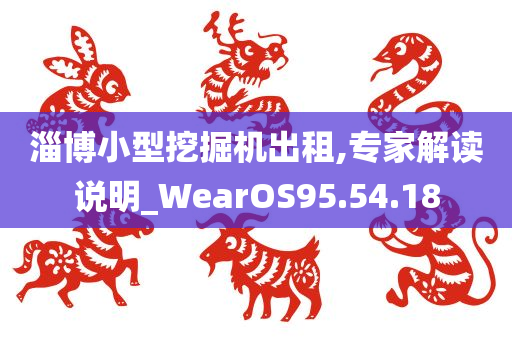 淄博小型挖掘机出租,专家解读说明_WearOS95.54.18