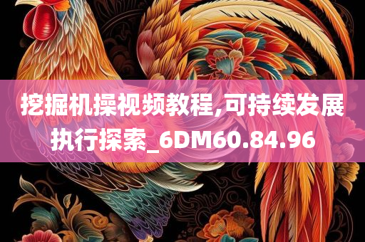 挖掘机操视频教程,可持续发展执行探索_6DM60.84.96