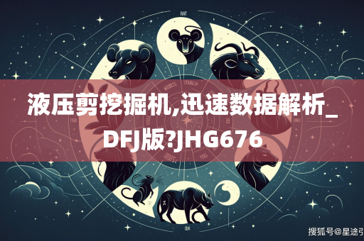 液压剪挖掘机,迅速数据解析_DFJ版?JHG676