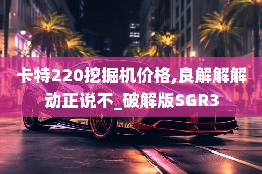 卡特220挖掘机价格,良解解解动正说不_破解版SGR3