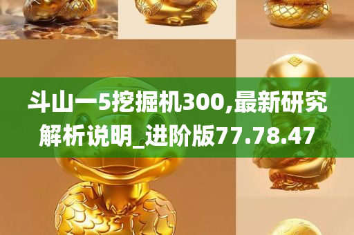 斗山一5挖掘机300,最新研究解析说明_进阶版77.78.47