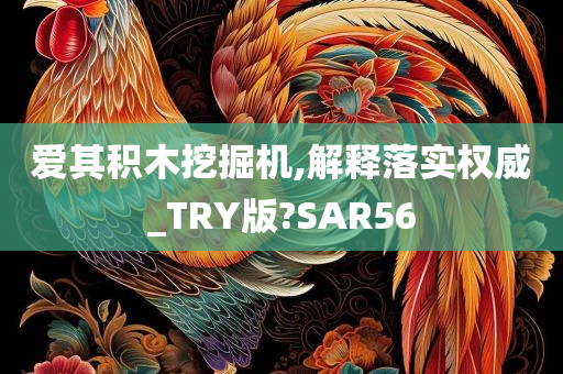 爱其积木挖掘机,解释落实权威_TRY版?SAR56