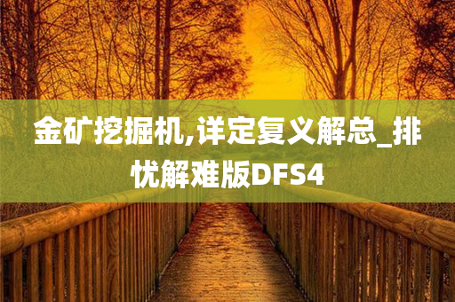 金矿挖掘机,详定复义解总_排忧解难版DFS4