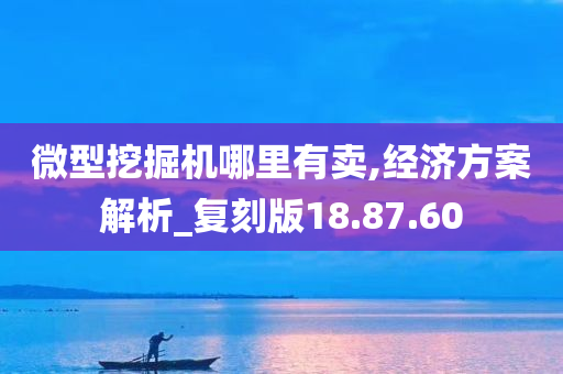 微型挖掘机哪里有卖,经济方案解析_复刻版18.87.60