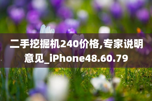 二手挖掘机240价格,专家说明意见_iPhone48.60.79