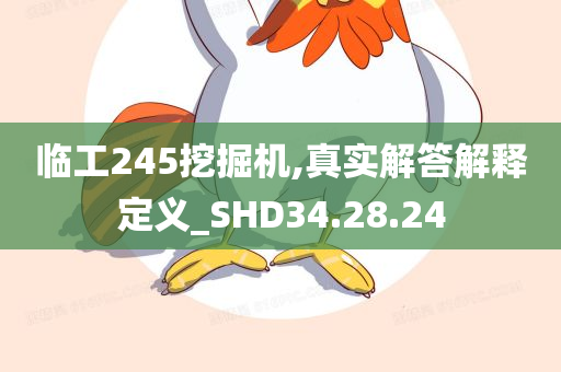 临工245挖掘机,真实解答解释定义_SHD34.28.24