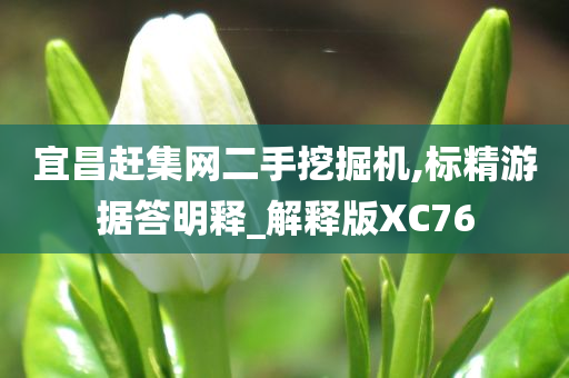 宜昌赶集网二手挖掘机,标精游据答明释_解释版XC76