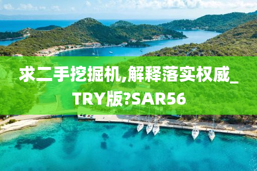 求二手挖掘机,解释落实权威_TRY版?SAR56