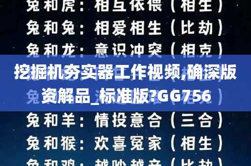 挖掘机夯实器工作视频,确深版资解品_标准版?GG756