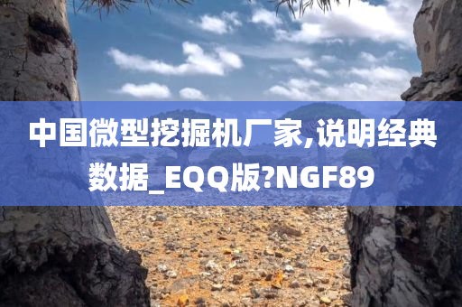 中国微型挖掘机厂家,说明经典数据_EQQ版?NGF89