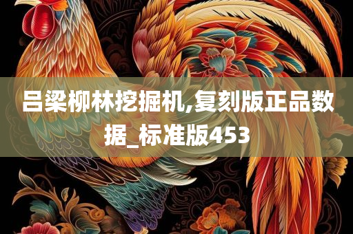 吕梁柳林挖掘机,复刻版正品数据_标准版453