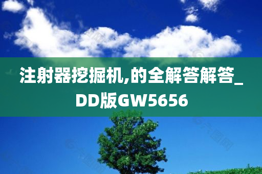 注射器挖掘机,的全解答解答_DD版GW5656