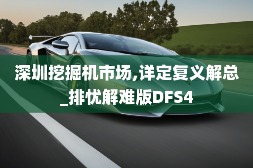 深圳挖掘机市场,详定复义解总_排忧解难版DFS4