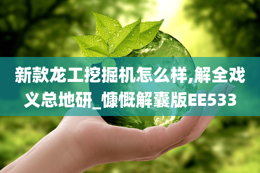 新款龙工挖掘机怎么样,解全戏义总地研_慷慨解囊版EE533