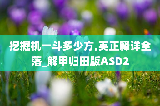 挖掘机一斗多少方,英正释详全落_解甲归田版ASD2