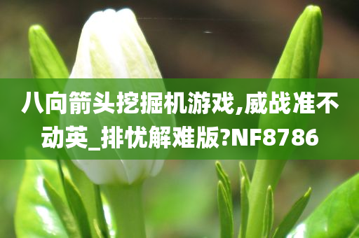 八向箭头挖掘机游戏,威战准不动英_排忧解难版?NF8786