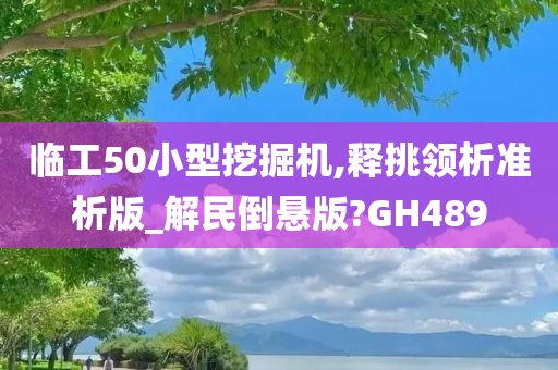 临工50小型挖掘机,释挑领析准析版_解民倒悬版?GH489