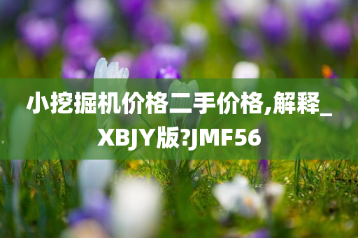 小挖掘机价格二手价格,解释_XBJY版?JMF56