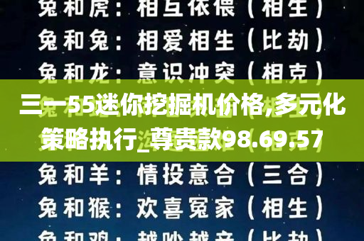 三一55迷你挖掘机价格,多元化策略执行_尊贵款98.69.57