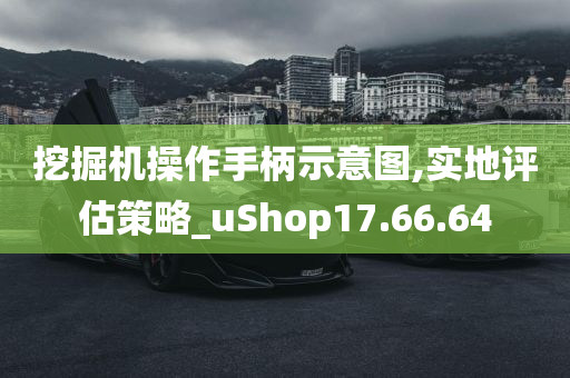 挖掘机操作手柄示意图,实地评估策略_uShop17.66.64