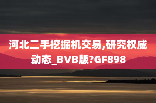 河北二手挖掘机交易,研究权威动态_BVB版?GF898