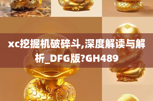 xc挖掘机破碎斗,深度解读与解析_DFG版?GH489