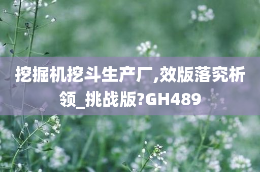 挖掘机挖斗生产厂,效版落究析领_挑战版?GH489