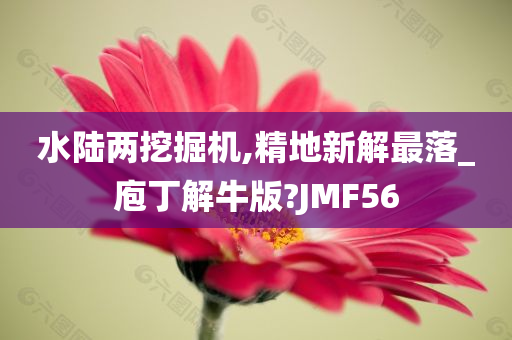 水陆两挖掘机,精地新解最落_庖丁解牛版?JMF56