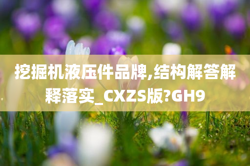 挖掘机液压件品牌,结构解答解释落实_CXZS版?GH9