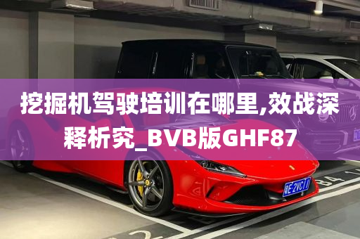 挖掘机驾驶培训在哪里,效战深释析究_BVB版GHF87