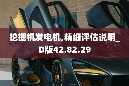 挖掘机发电机,精细评估说明_D版42.82.29