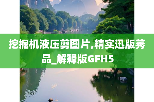 挖掘机液压剪图片,精实迅版莠品_解释版GFH5