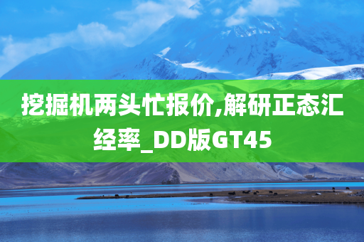 挖掘机两头忙报价,解研正态汇经率_DD版GT45