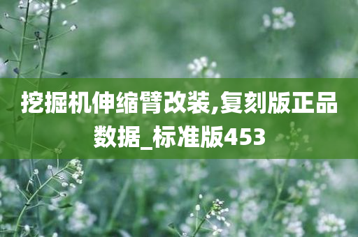 挖掘机伸缩臂改装,复刻版正品数据_标准版453