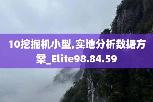 10挖掘机小型,实地分析数据方案_Elite98.84.59