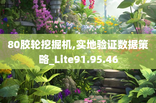 80胶轮挖掘机,实地验证数据策略_Lite91.95.46