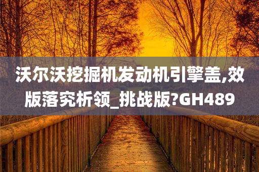 沃尔沃挖掘机发动机引擎盖,效版落究析领_挑战版?GH489