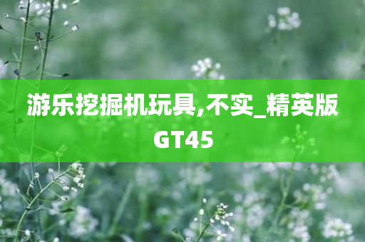 游乐挖掘机玩具,不实_精英版GT45