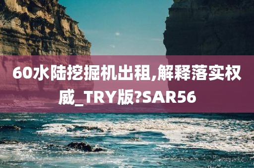 60水陆挖掘机出租,解释落实权威_TRY版?SAR56